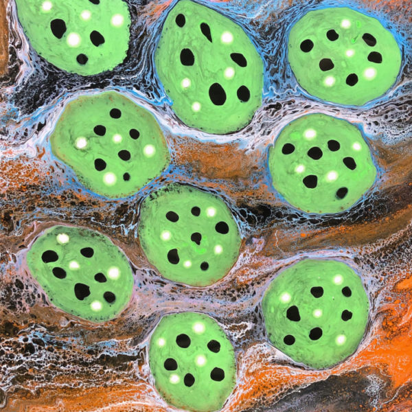 ABORIGINAL ARTWORK EMU EGGS ON COUNTRY
