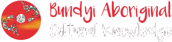 Bundyi Aboriginal logo
